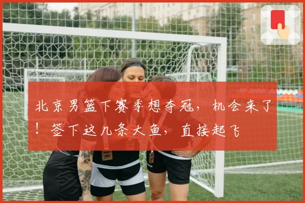 北京男篮下赛季想夺冠,机会来了!签下这几条大鱼,直接起飞