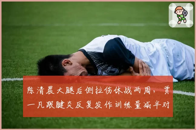 陈清晨大腿后侧拉伤休战两周，贾一凡跟腱炎反复发作训练量减半对比凸显不同康复策略