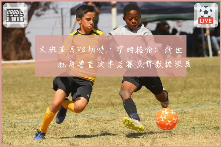 文班亚马vs切特·霍姆格伦:新世代独角兽首次季后赛交锋数据深度对比