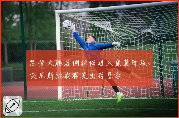 陈梦大腿后侧拉伤进入康复阶段,突尼斯挑战赛复出存悬念