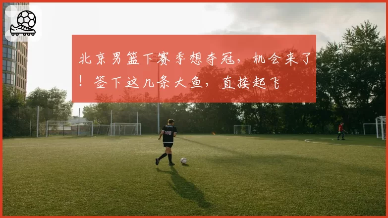 北京男篮下赛季想夺冠，机会来了！签下这几条大鱼，直接起飞