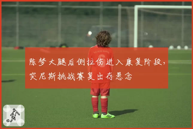 陈梦大腿后侧拉伤进入康复阶段,突尼斯挑战赛复出存悬念