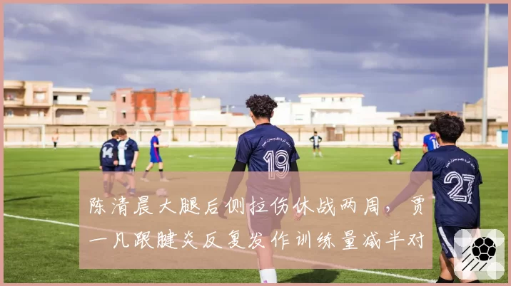 陈清晨大腿后侧拉伤休战两周,贾一凡跟腱炎反复发作训练量减半对比凸显不同康复策略